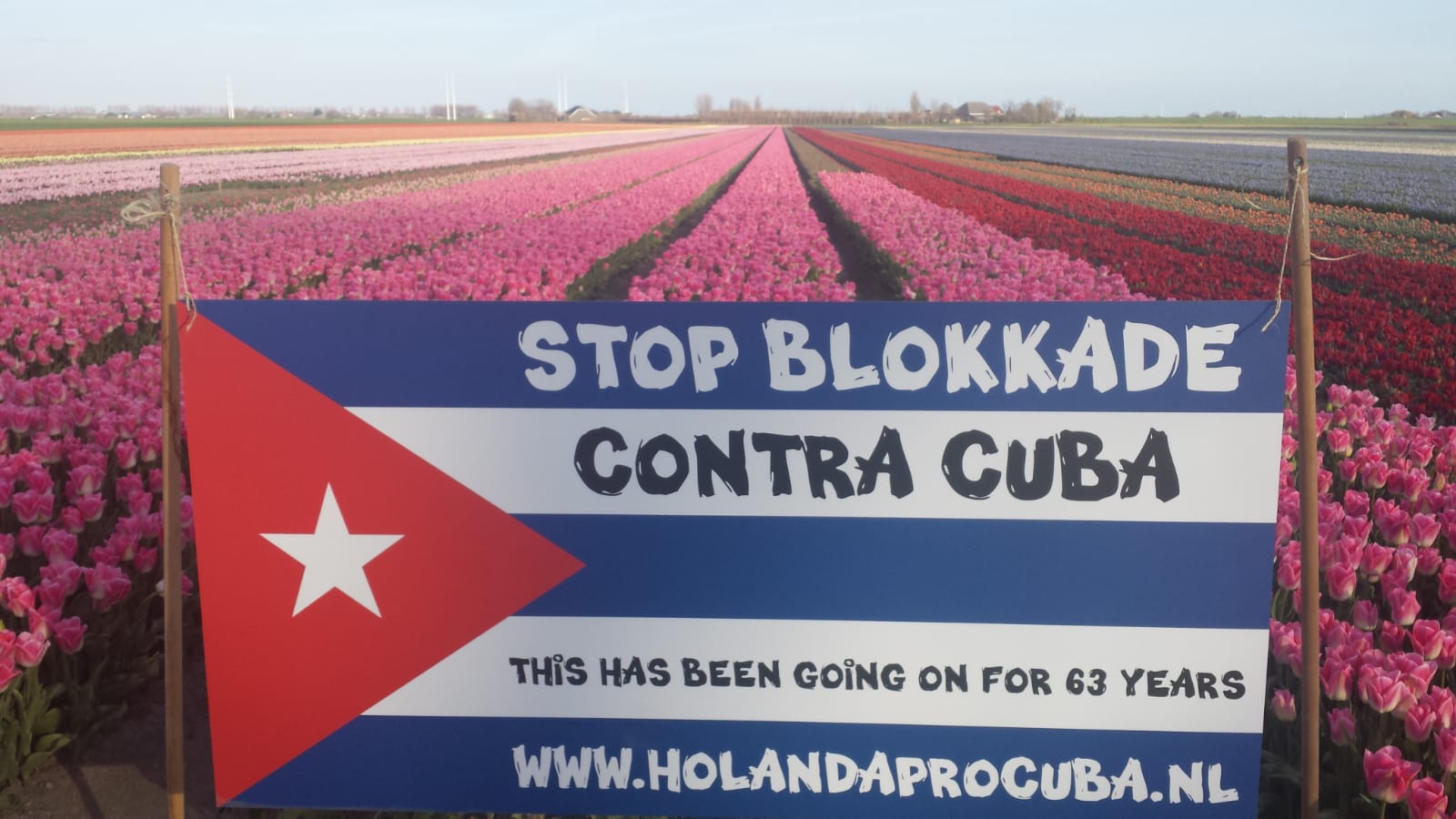 WhatsApp Image 2021-05-11 at 17.28.41