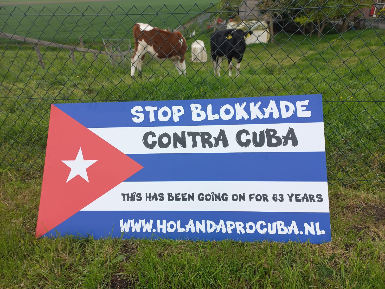 WhatsApp Image 2021-05-20 at 19.16.19