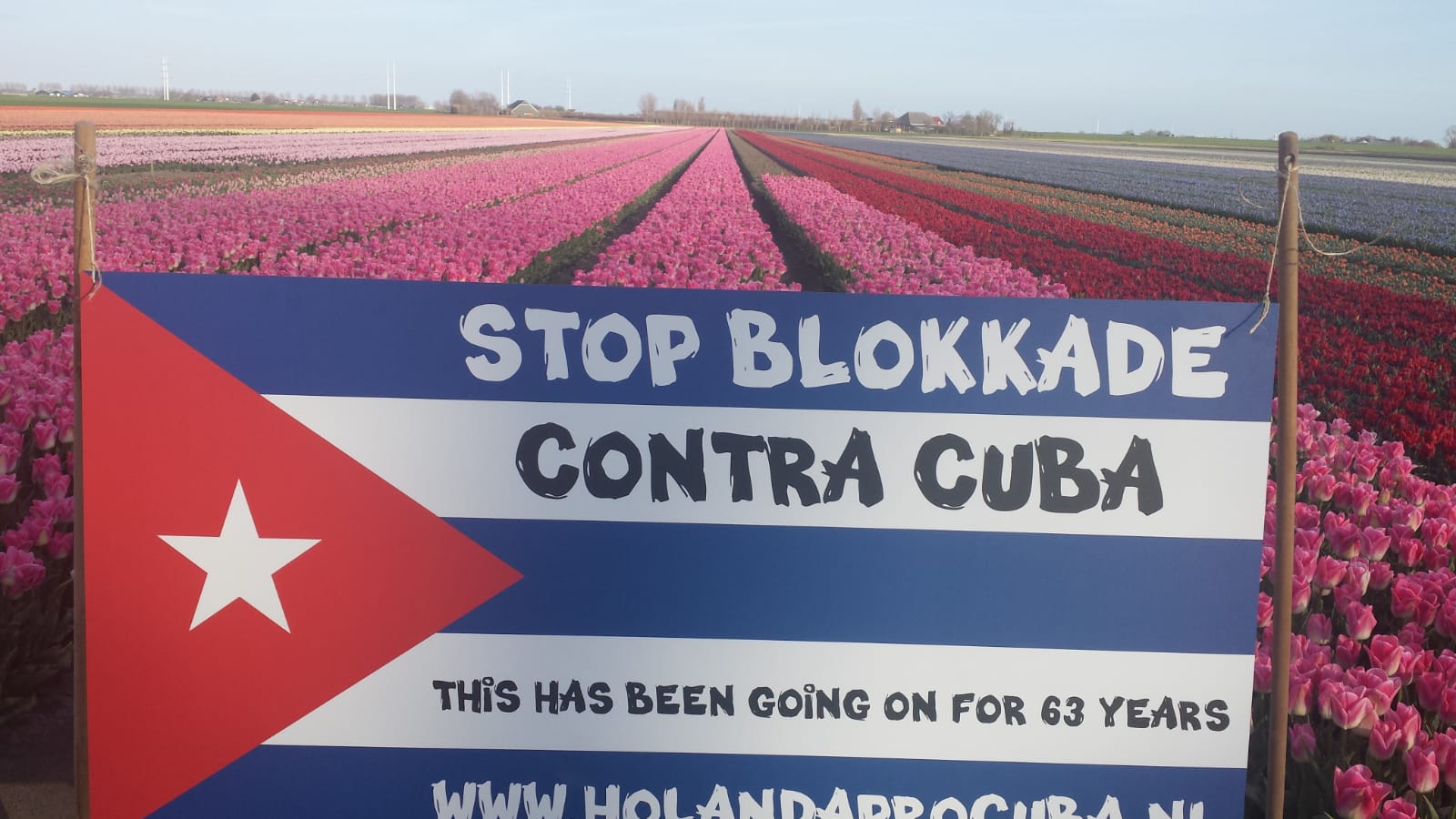 WhatsApp Image 2021-05-24 at 12.23.32-4