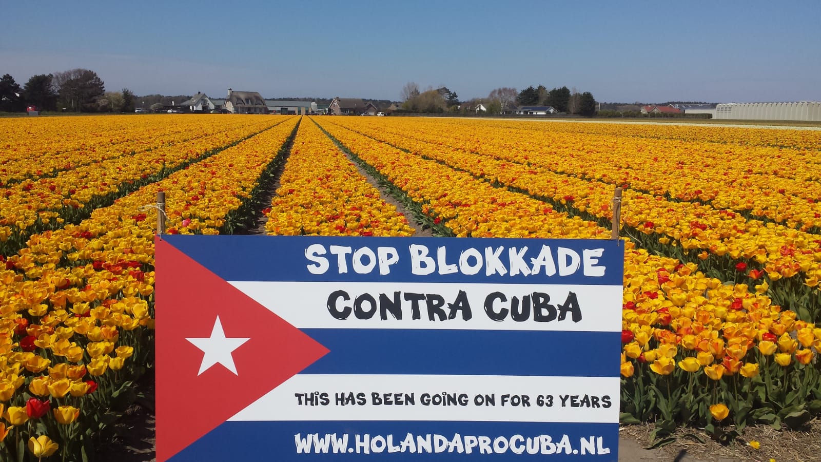 WhatsApp Image 2021-05-24 at 12.23.32-5