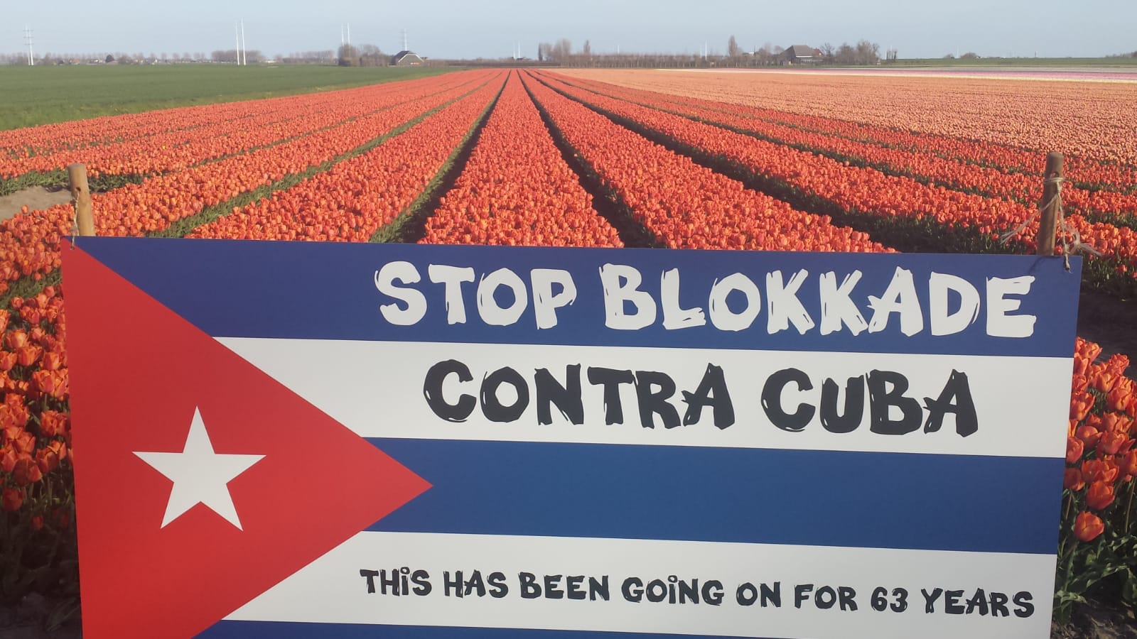 WhatsApp Image 2021-05-24 at 12.23.32